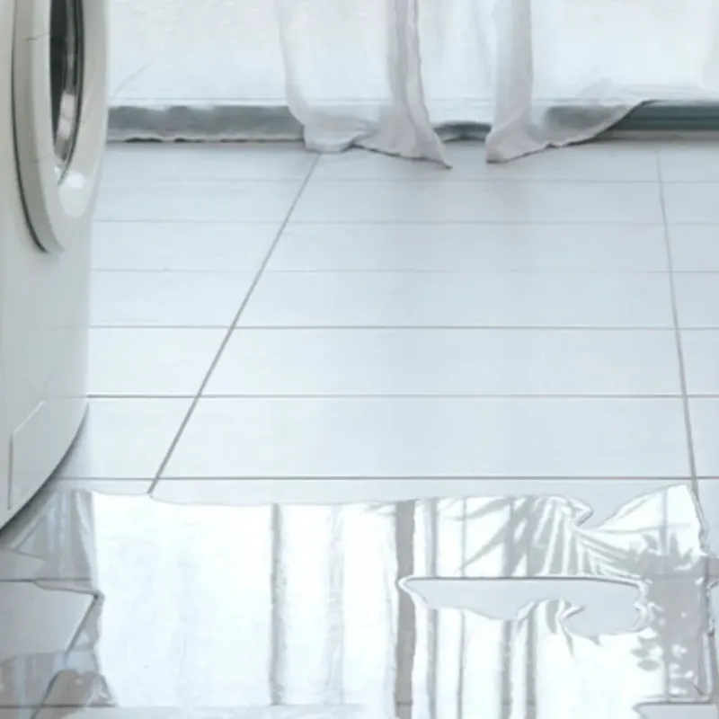 Appliance Leak Cleanup in West Wendover, NV